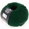 Cool Wool 2000 fľaškovo zelená 501