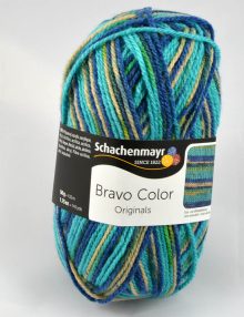 Bravo color 2119